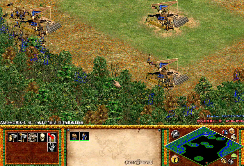 帝国时代2伐伐木工哪里可以